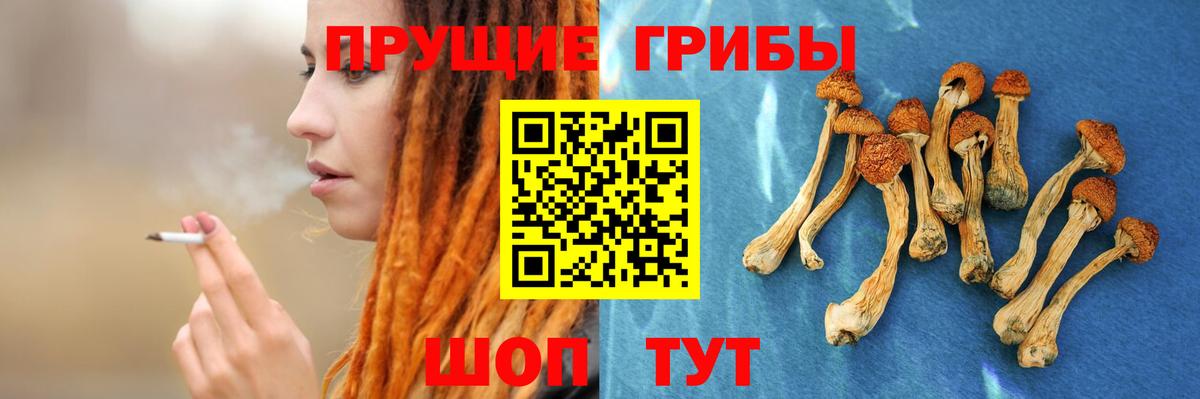Галлюциногенные грибы Magic Shrooms  наркотики  Вход с VPN  Стерлитамак  Галлюциногенные грибы Psilocybe 